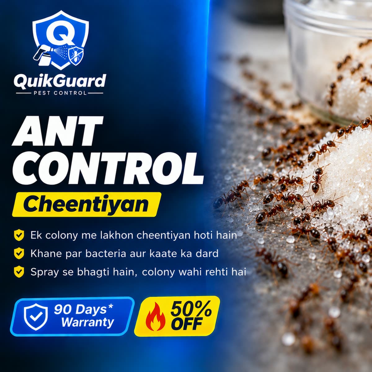 Kitchen platform par cheentiyon ki line — QuikGuard ant control