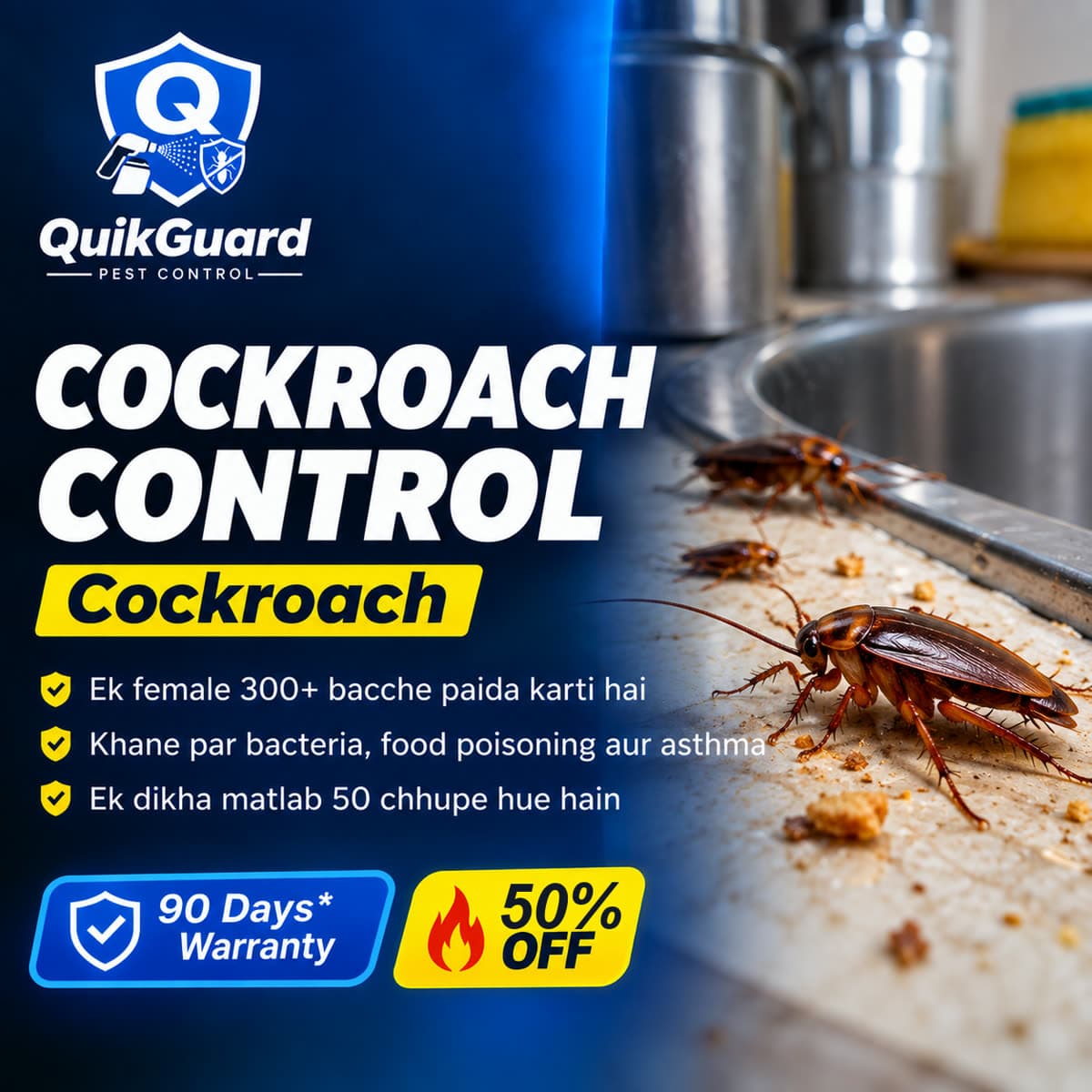 Kitchen sink ke paas cockroach — QuikGuard cockroach control Delhi NCR