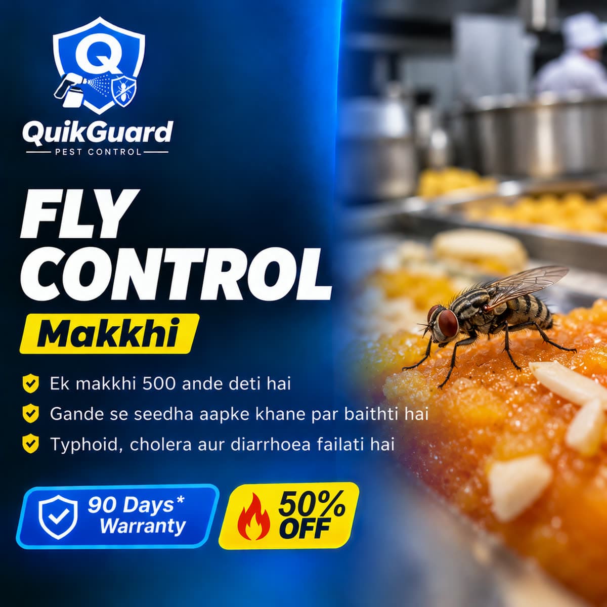Mithai par baithi makkhi — QuikGuard fly control kitchen aur restaurant
