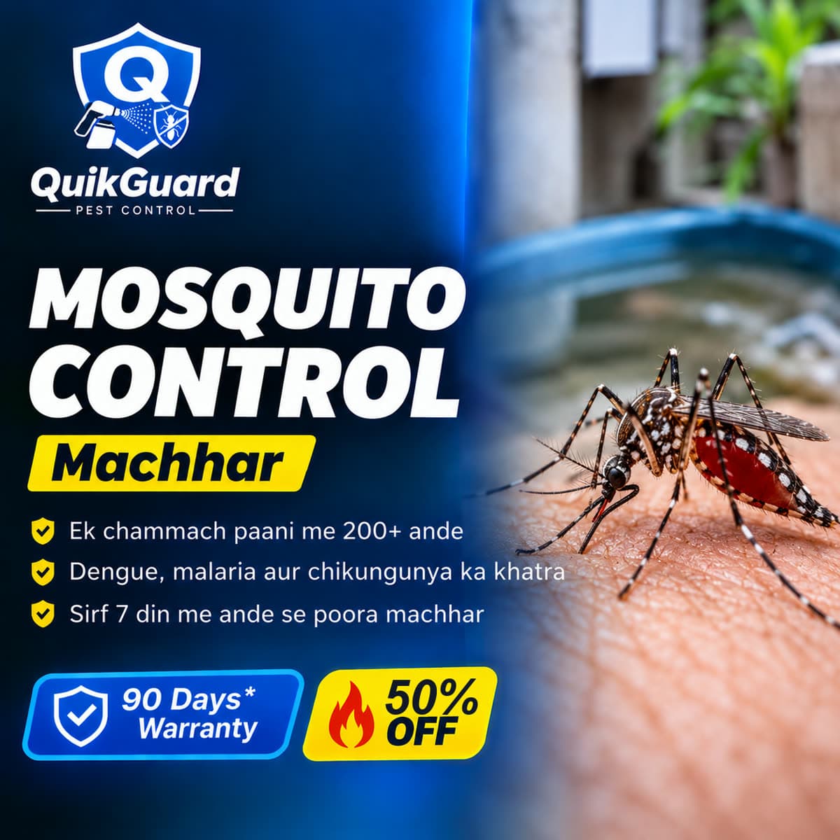 Aedes machhar — QuikGuard mosquito control aur dengue prevention Delhi NCR