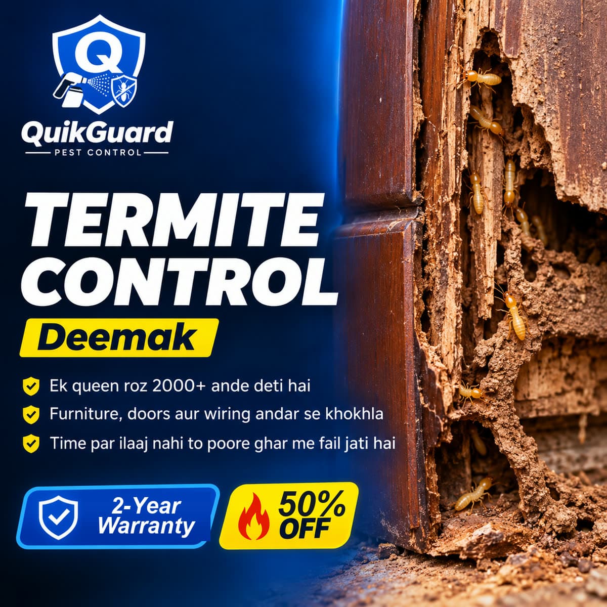 Deemak se khokhla ho chuka lakdi ka darwaza — QuikGuard termite control Delhi NCR